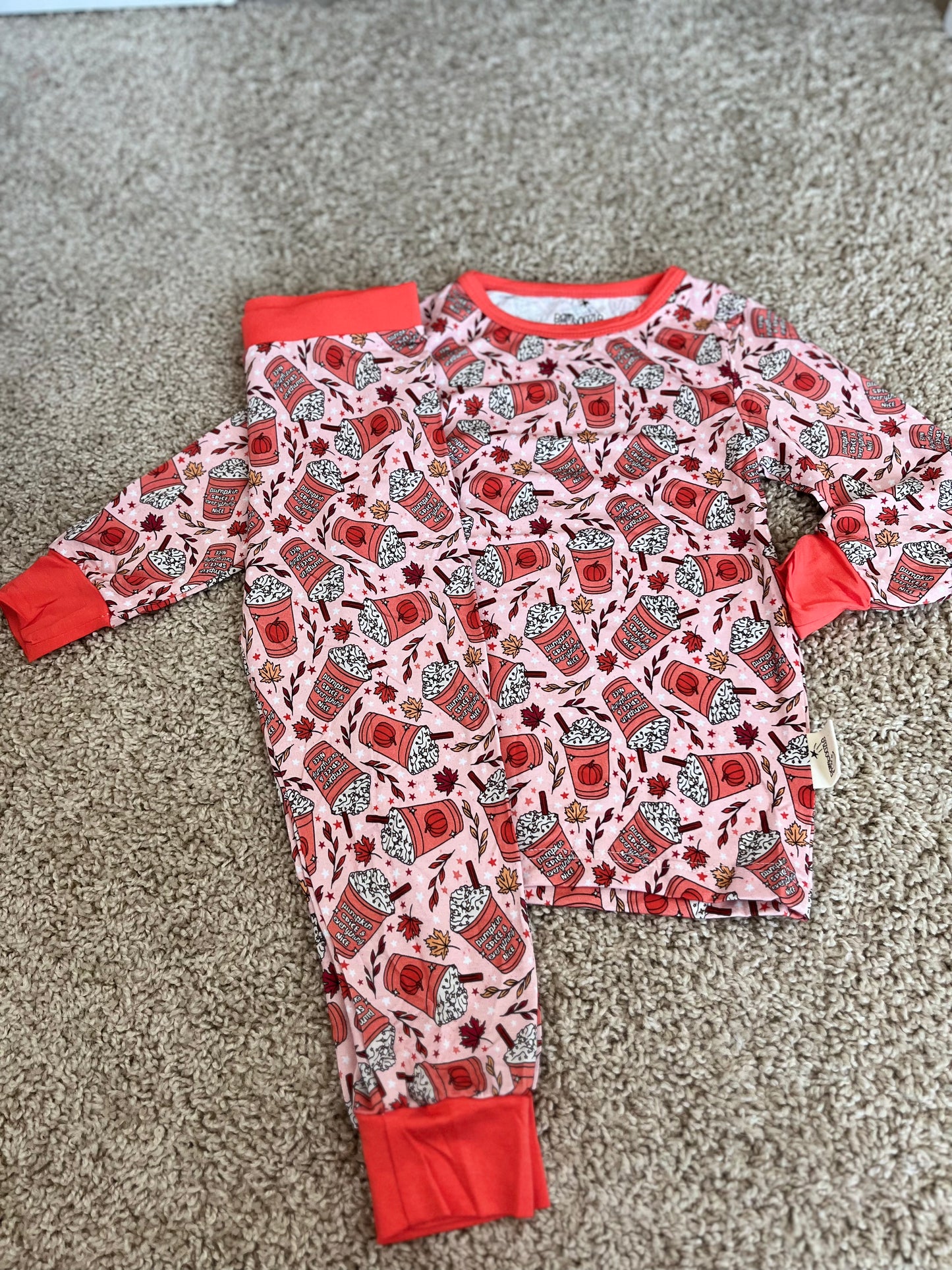 Pumpkin Spice Long Sleeve Set